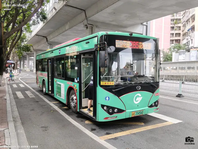 粤A 25454D