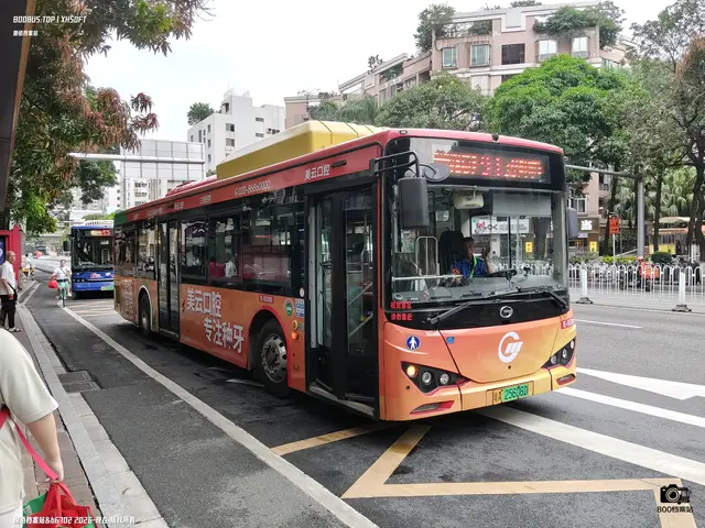 粤A 25606D