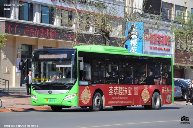辽P 05117D