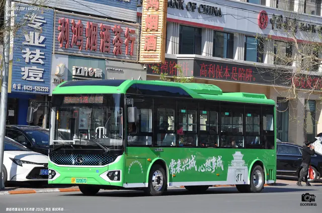 辽P 02067D