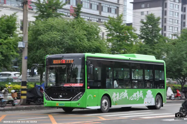 辽P 08862D