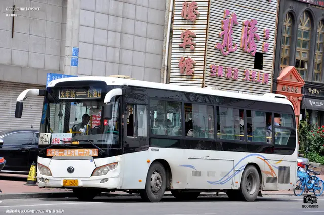800BUS