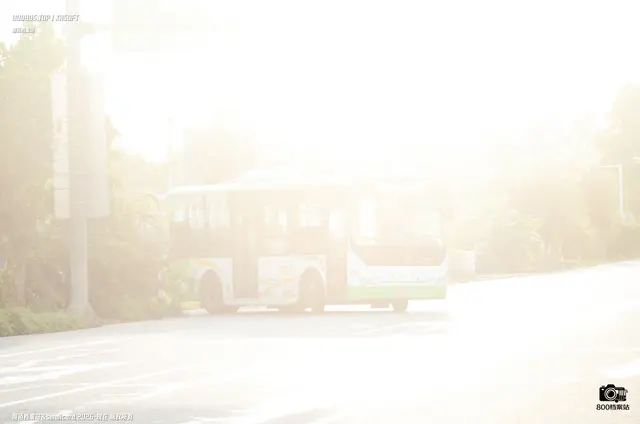粤E 06592D