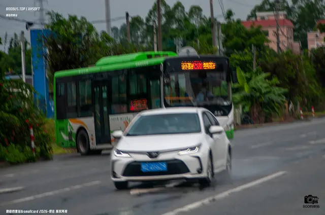 粤E 08438D