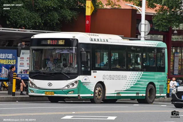 800BUS
