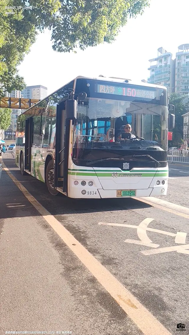 湘A 00395D