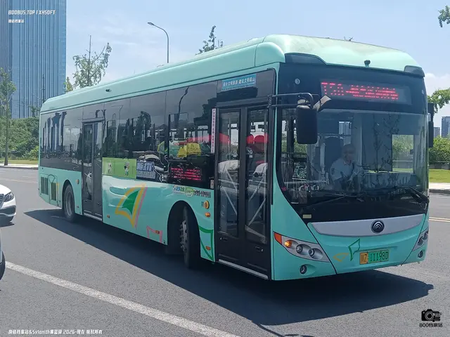 川Z 11198D