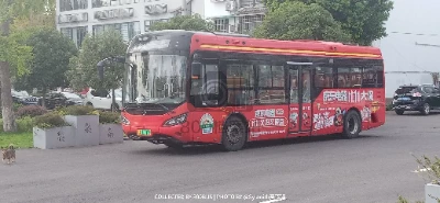 川A 11017D