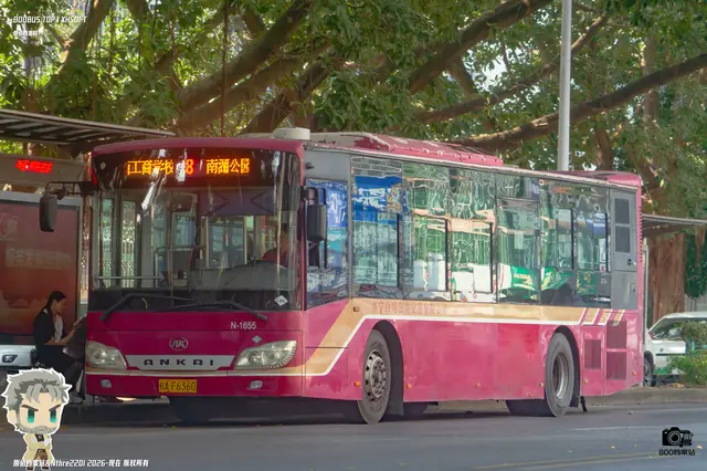 桂A F6360