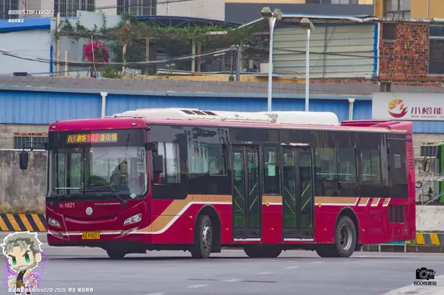 桂A P0011
