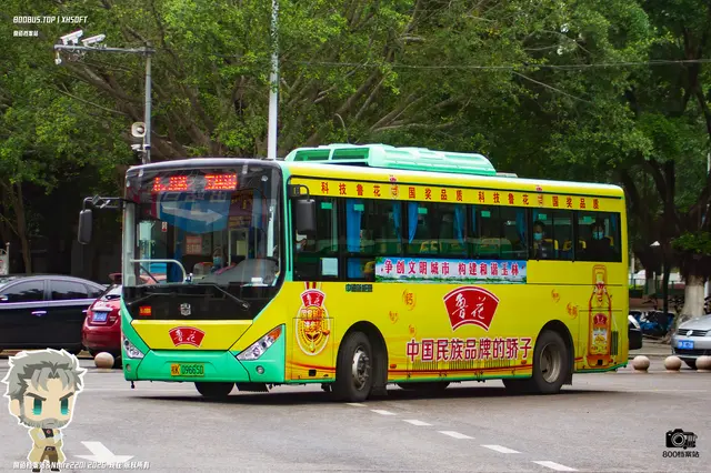 桂K 09665D