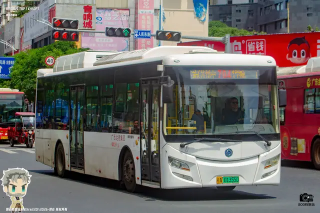桂A 01355D