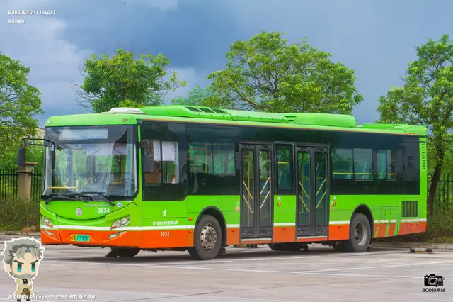 800BUS