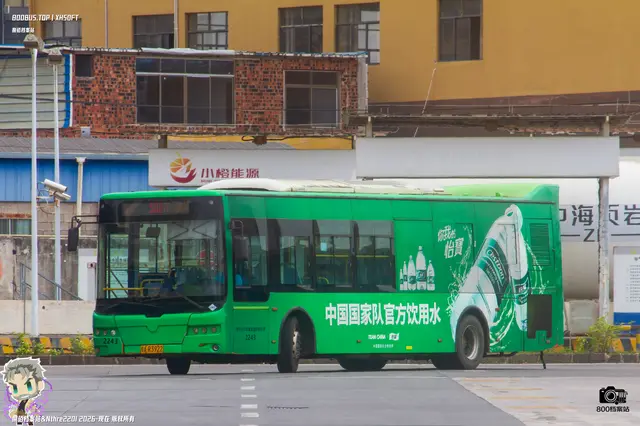 800BUS