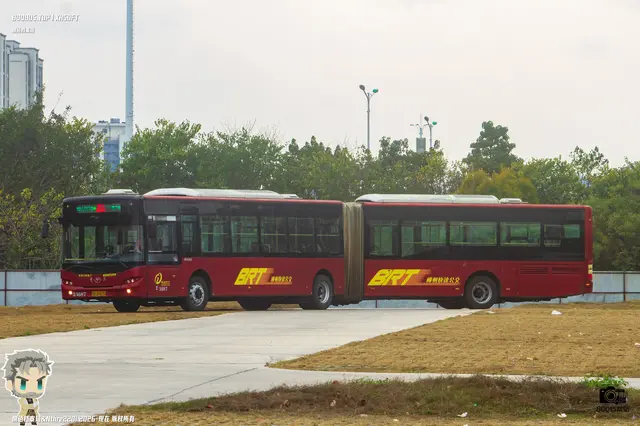 800BUS