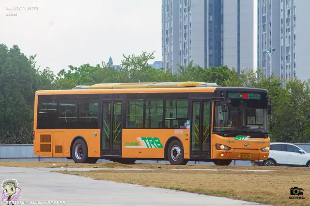 800BUS