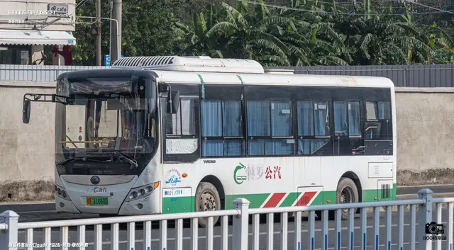 桂E11660D