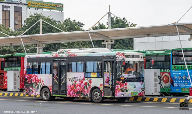 桂E 07229D