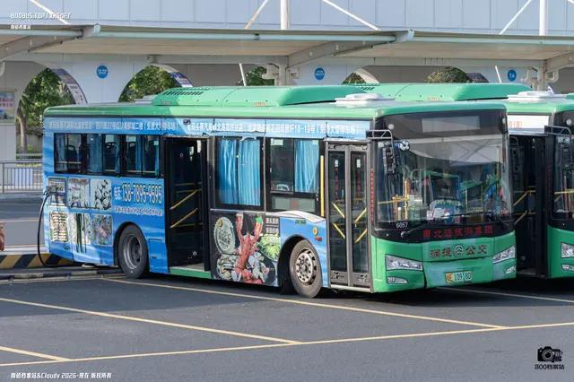 桂E 10918D