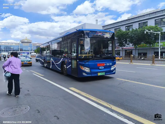 蒙A 12528D