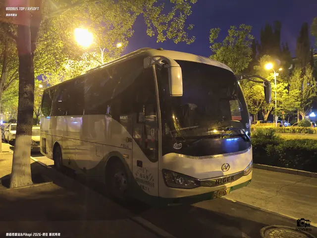 蒙B 81651