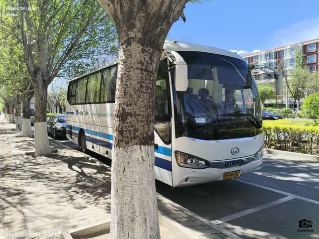 蒙B 88787
