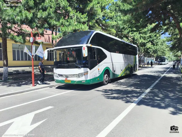 蒙A 87887