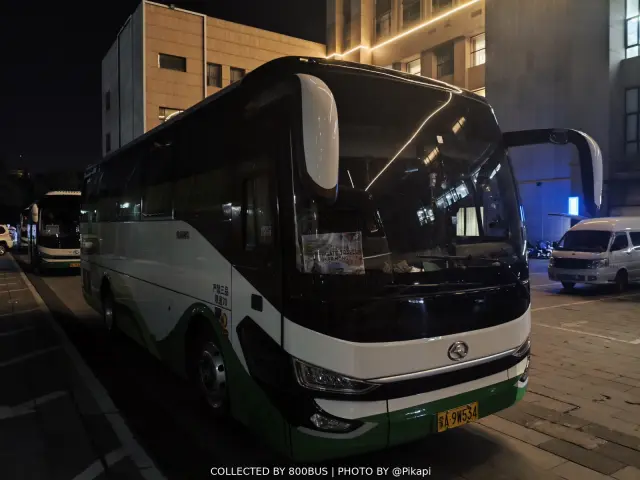 蒙A 9W534