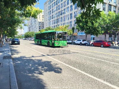 800BUS