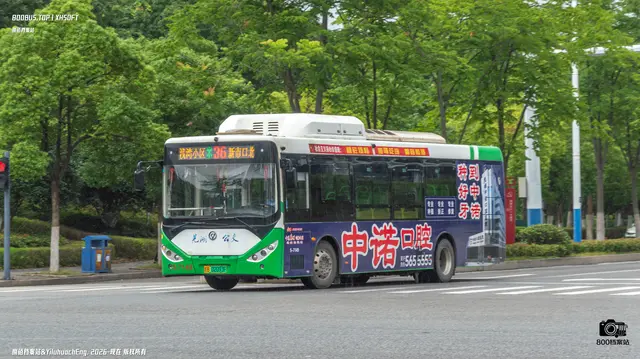 皖B 02093F