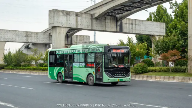 皖B 08559D