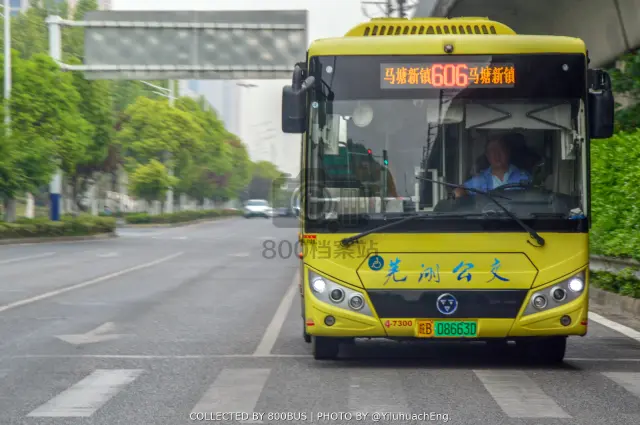 皖B 08663D
