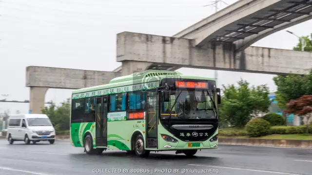 皖B 00066D