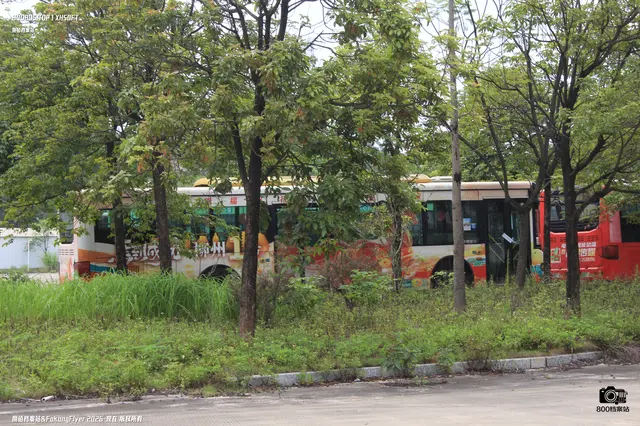 已除牌   原桂B 39558