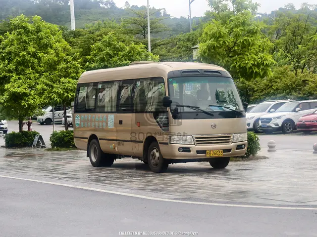 桂B 26033