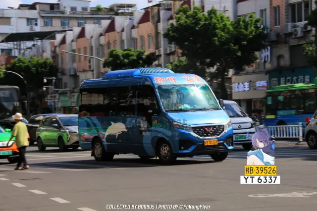 800BUS
