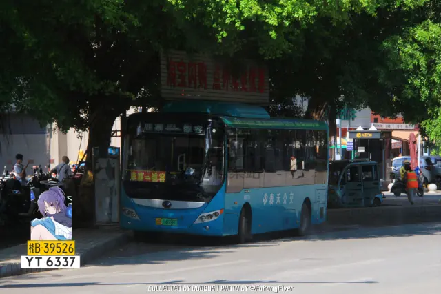 800BUS