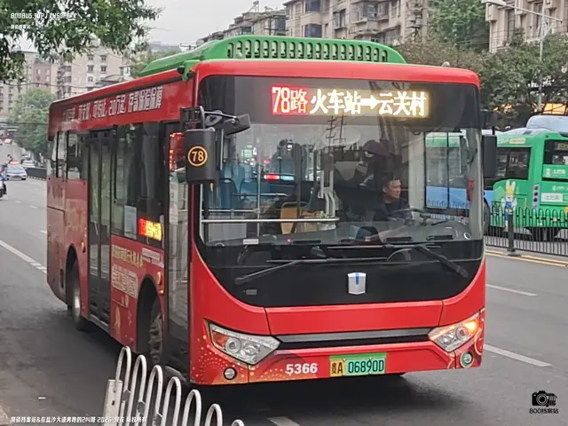800BUS