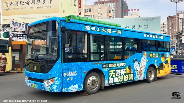 800BUS