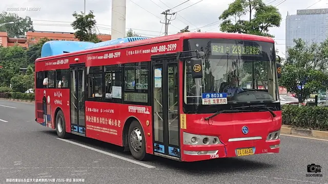 800BUS