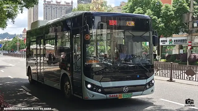 800BUS
