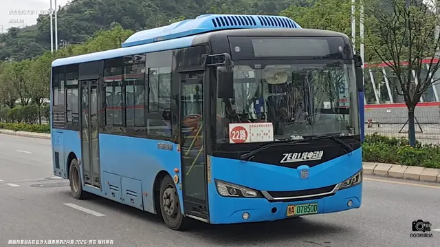 800BUS