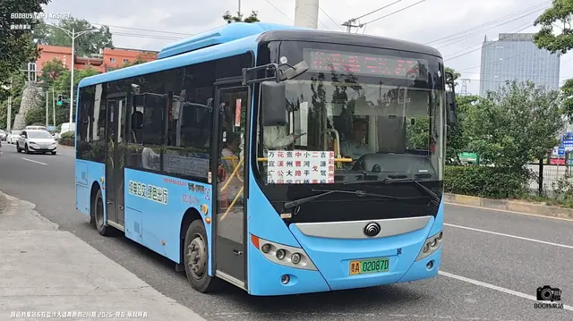 800BUS