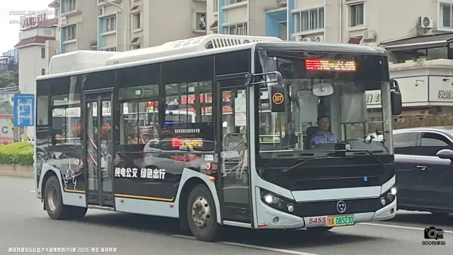 800BUS