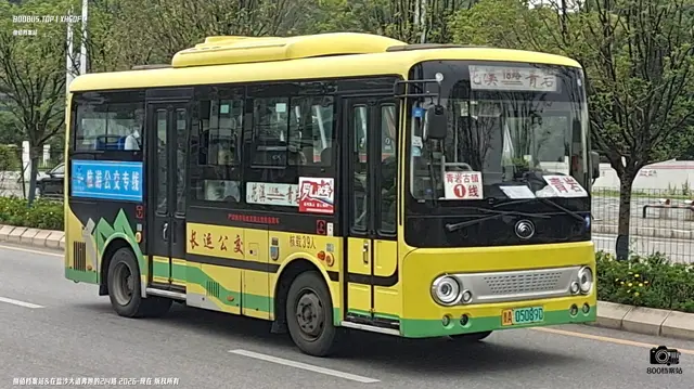 800BUS