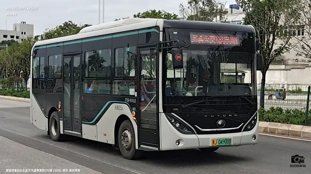 800BUS