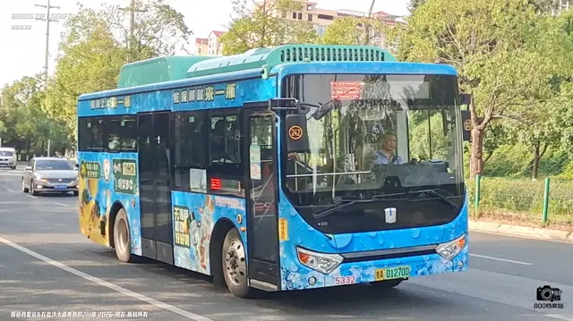 800BUS
