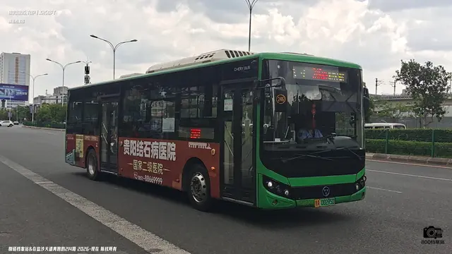 贵A 00295D