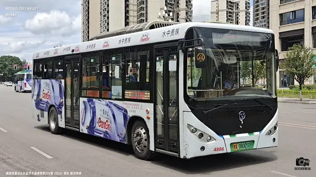 贵A 08005D