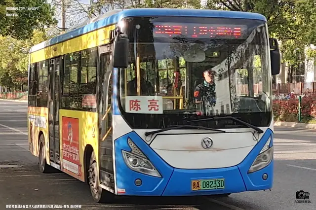 贵A 08233D